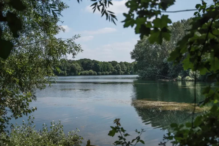 Blick auf den Uettelsheimer See hinter dem Eurohof