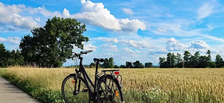 Radfahren im Ruhrgebiet: Feldweg mit Fahrrad